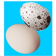 What causes of brown spots?